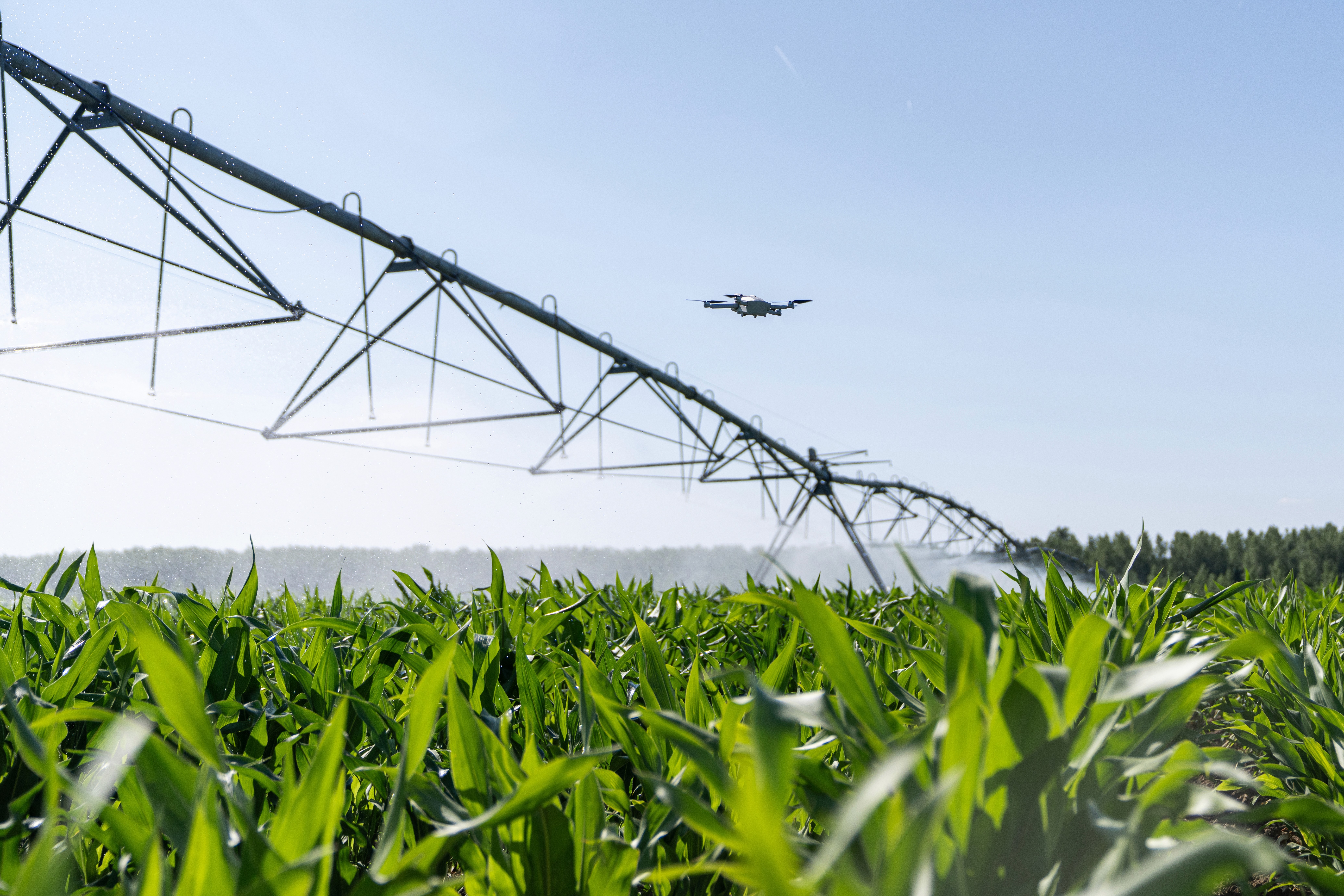 Man chatting in professional setting