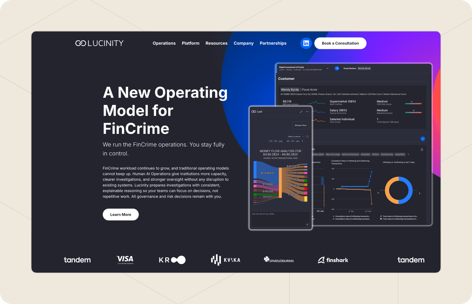 Screenshot of the website homepage of Lucinity.