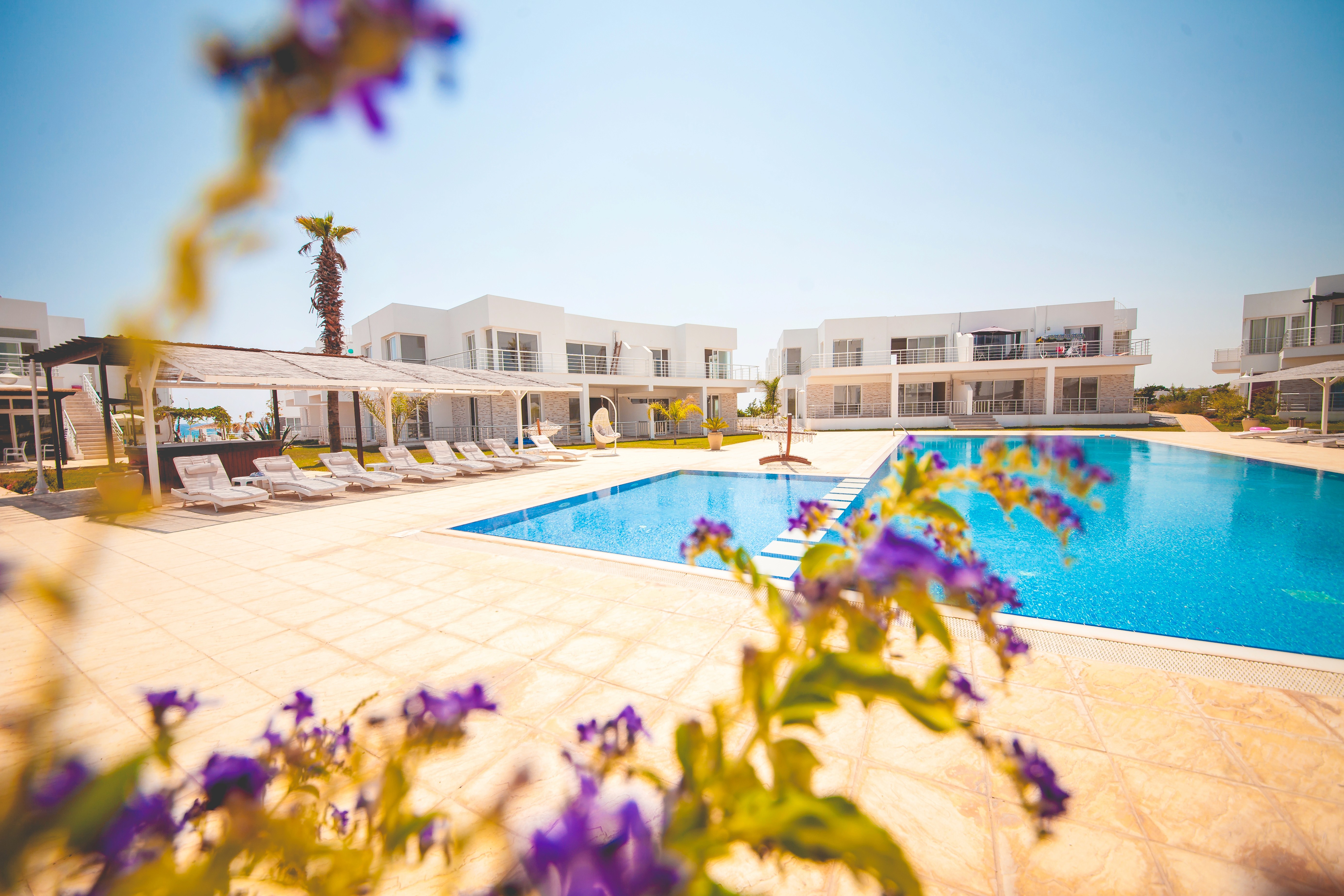 Dimly lit room with sunlight filtering through curtains, casting shadows on a green marble table with a single plate of pasta in the center.