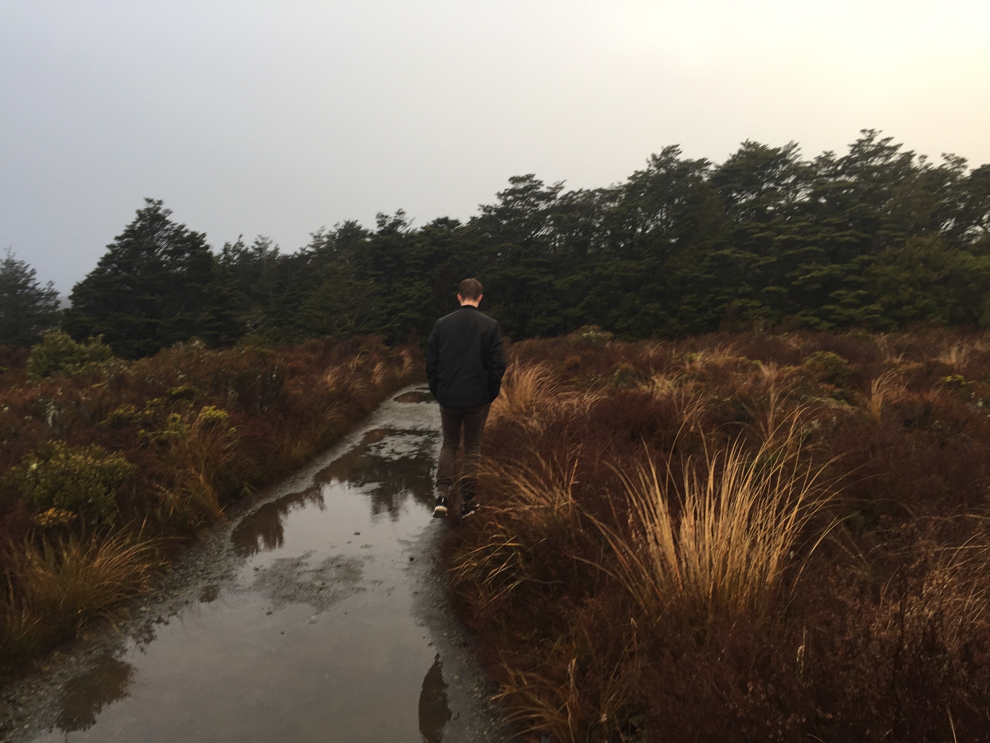 Alex Heustess Hiking