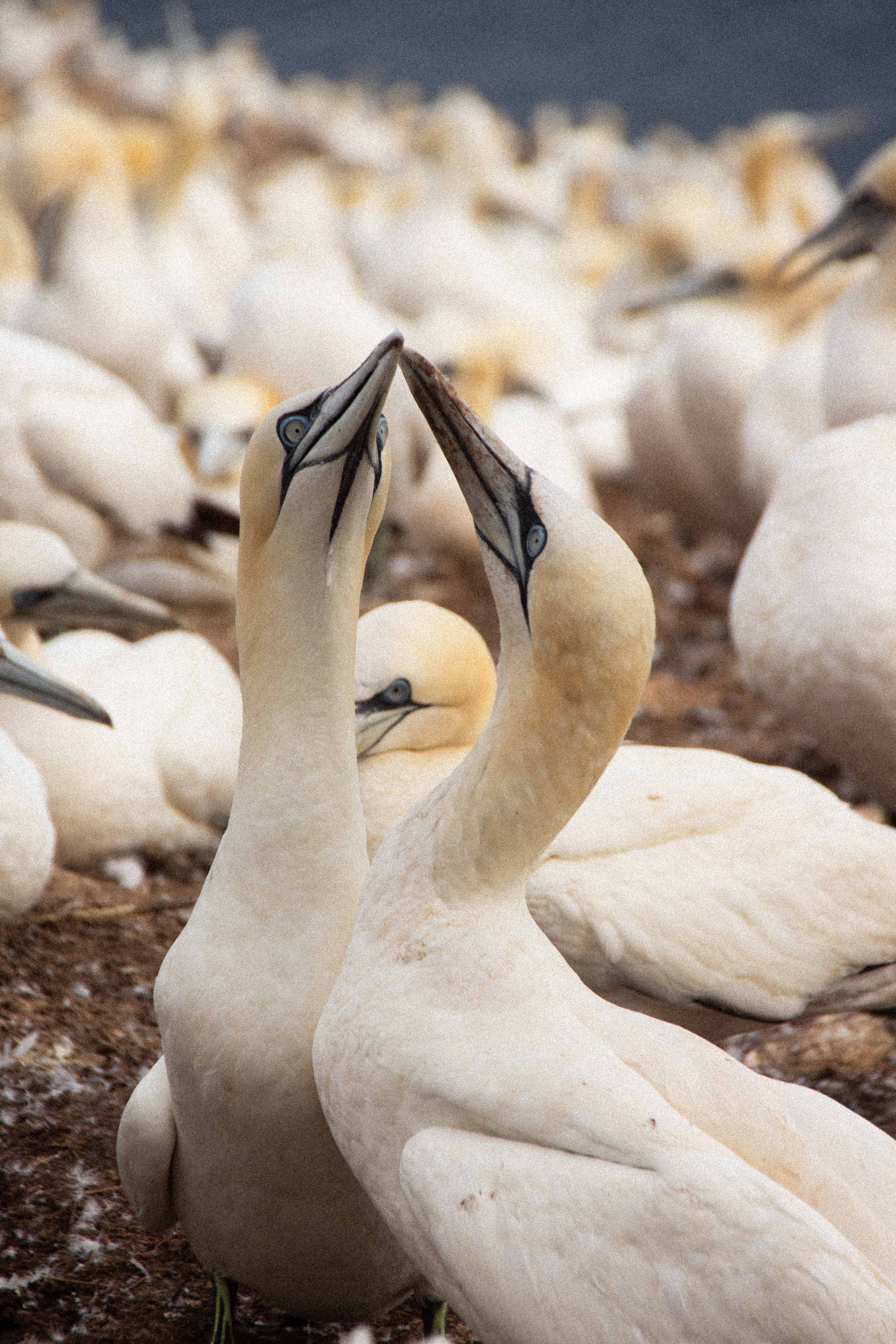 A studio space showcasing large window and contemporary design elements