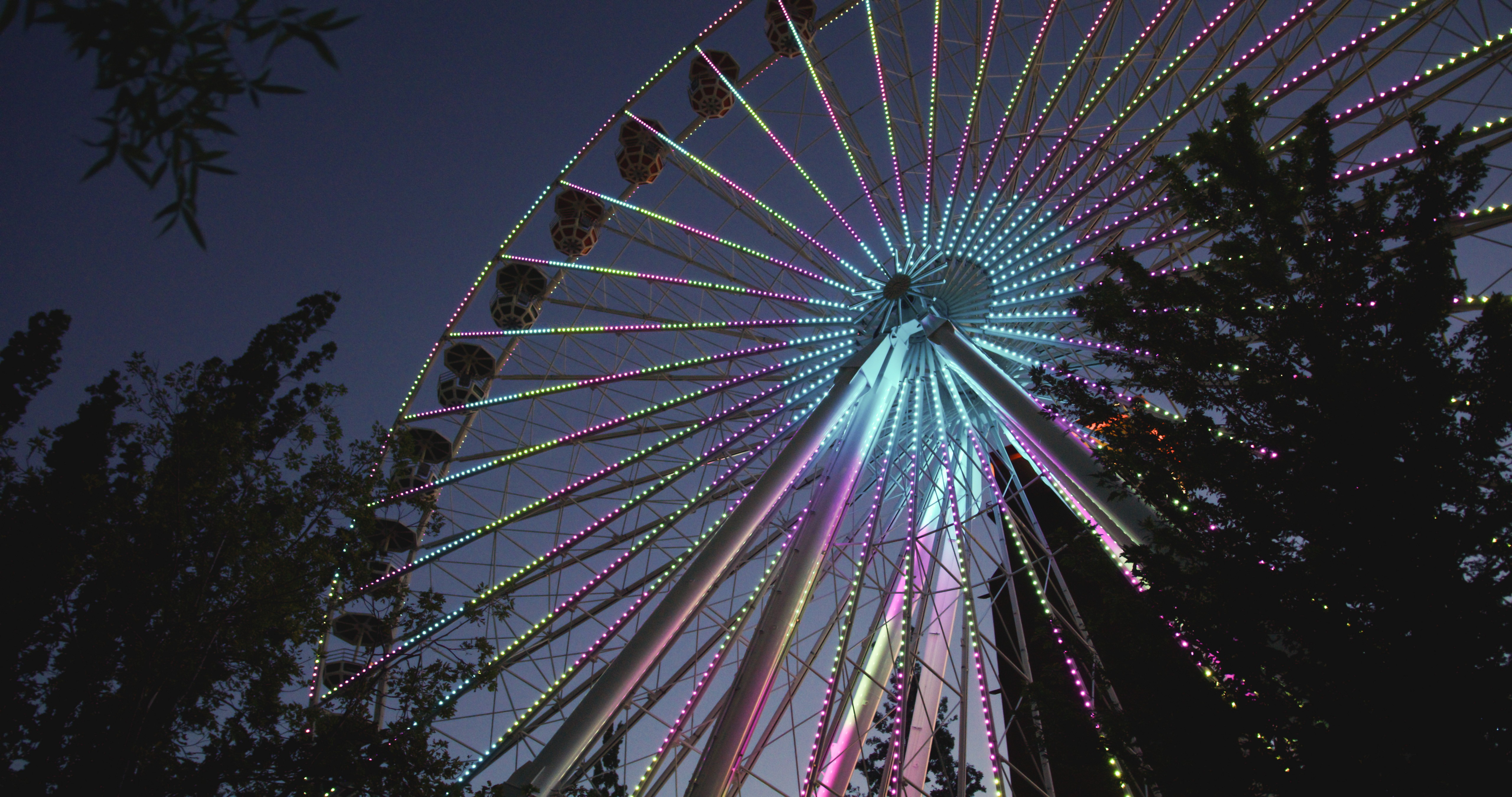 Amusement Park Lights