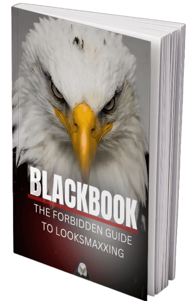 Cover image for an looksmaxxing Blackbook ebook