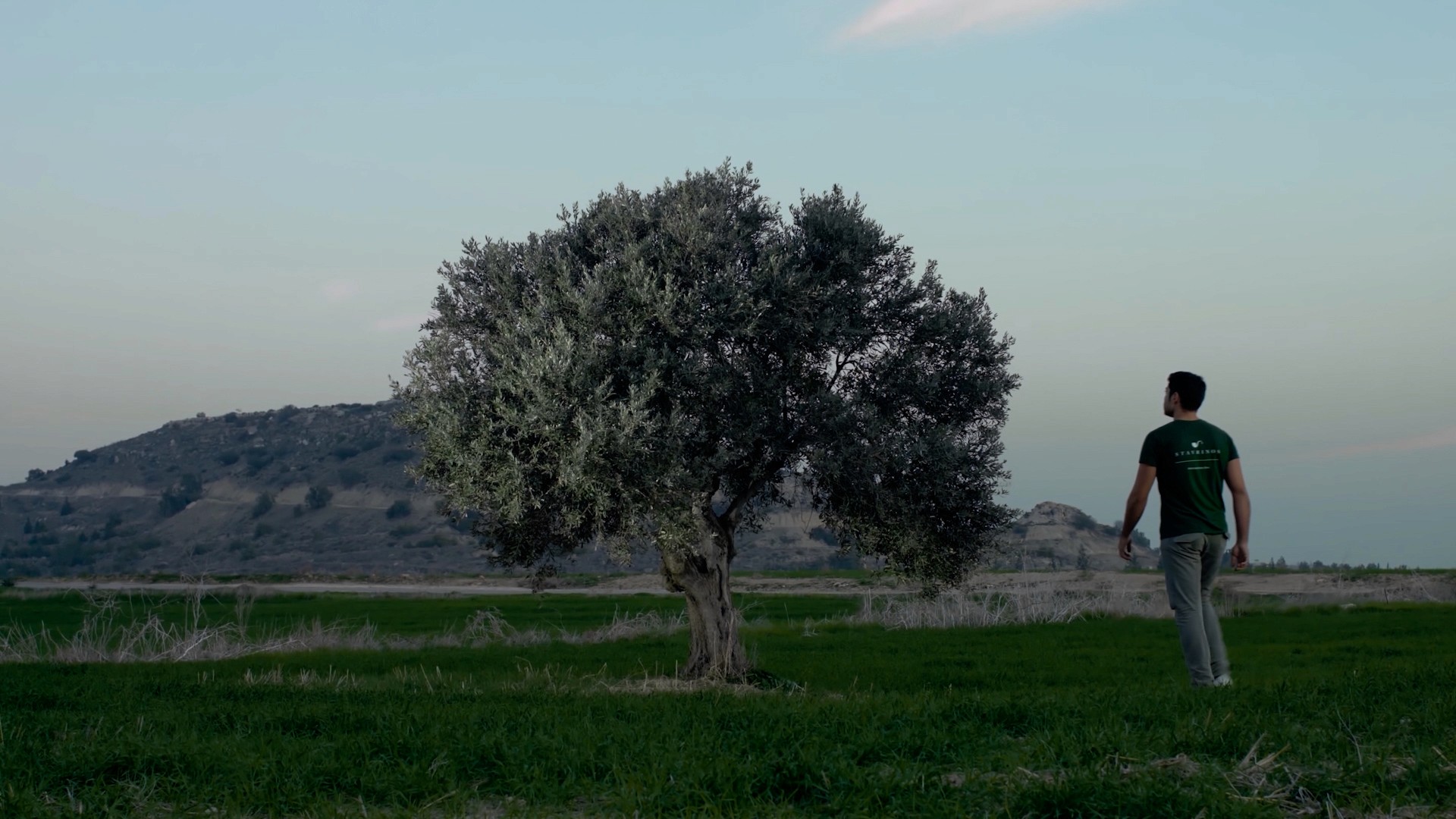 The pipe maker is looking for a nice piece of olive wood to create his pipes