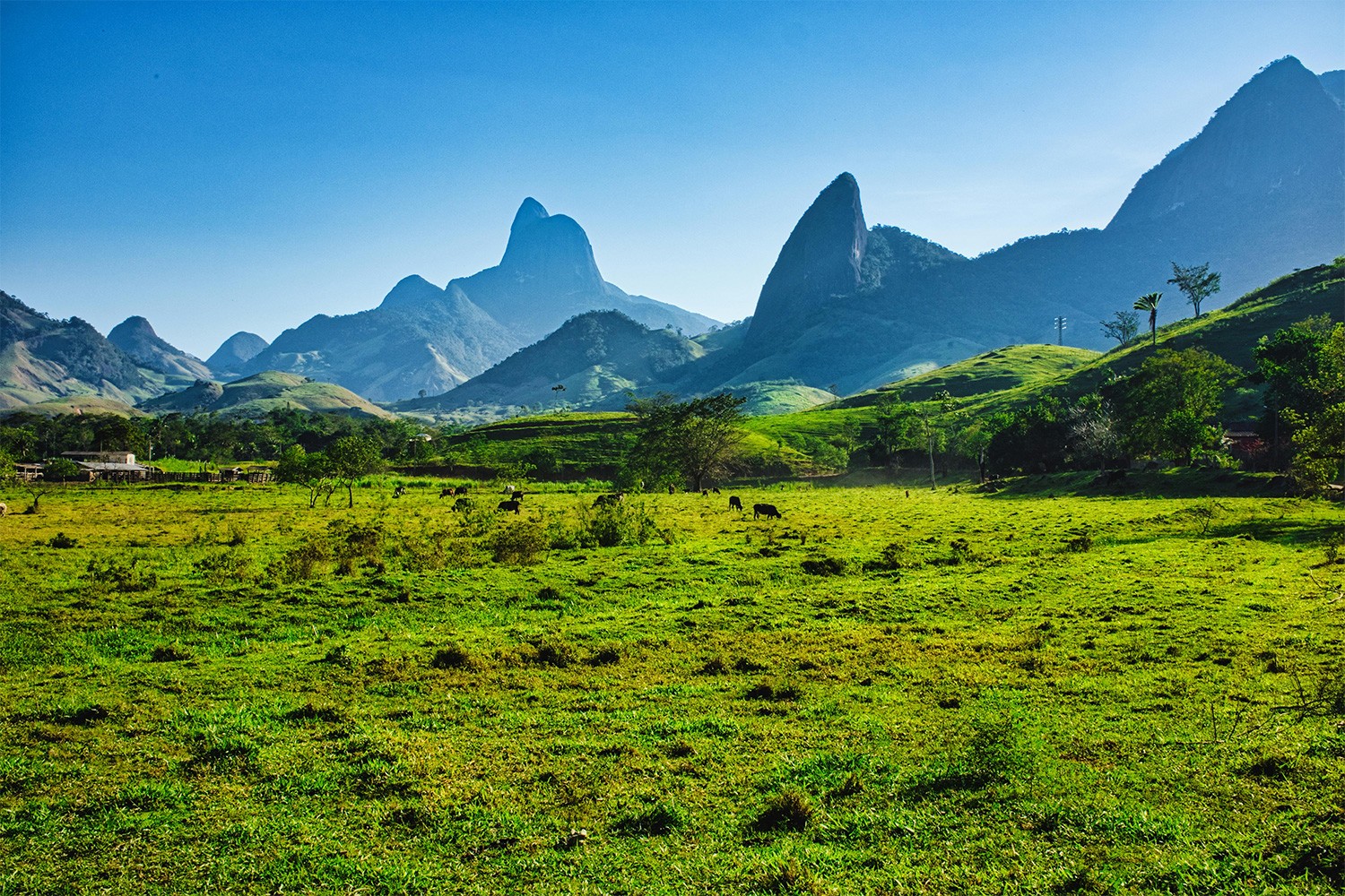 Big green farm field in brazil