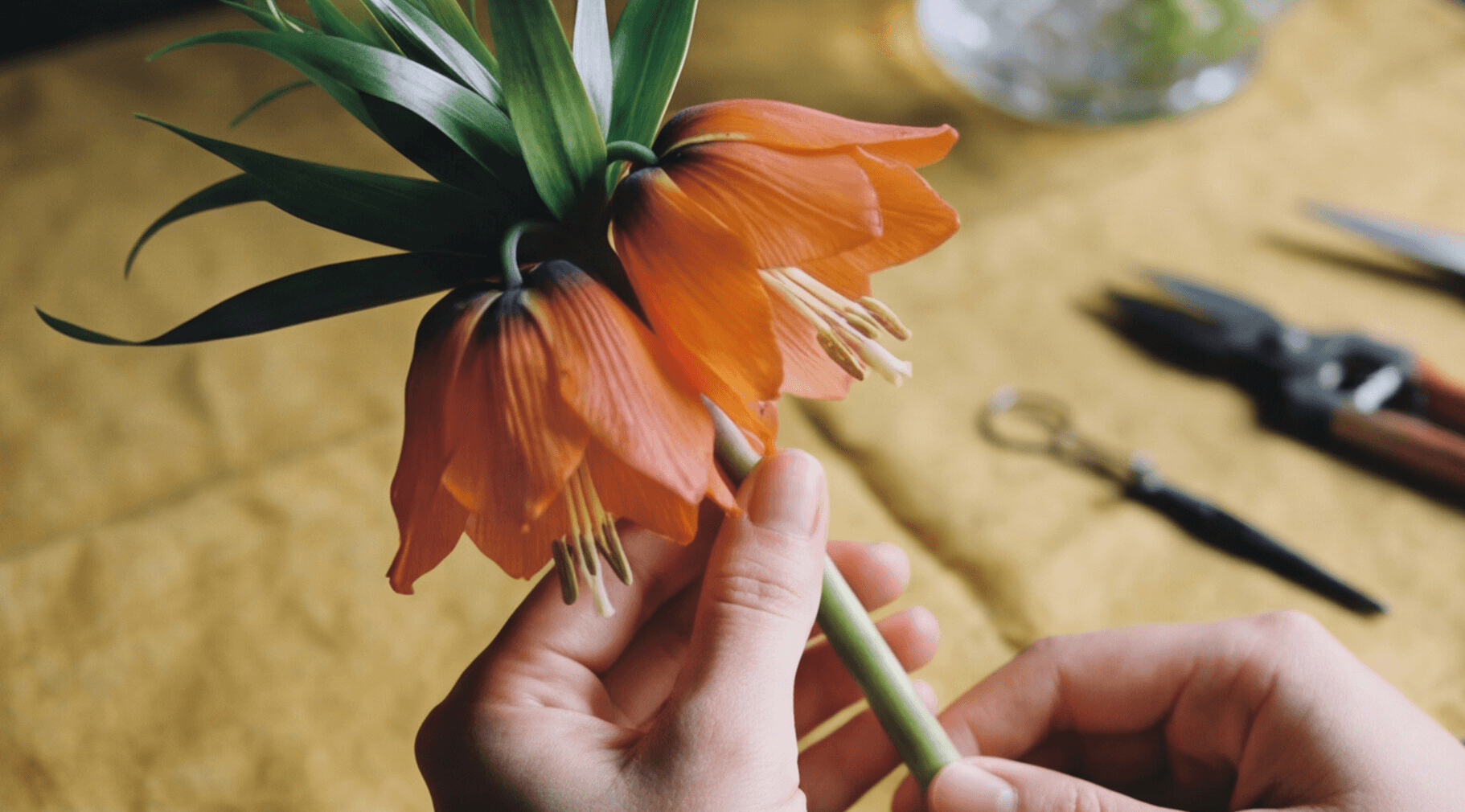 Streetside billboard with flyposters of the Batch.Works brand and illustrations