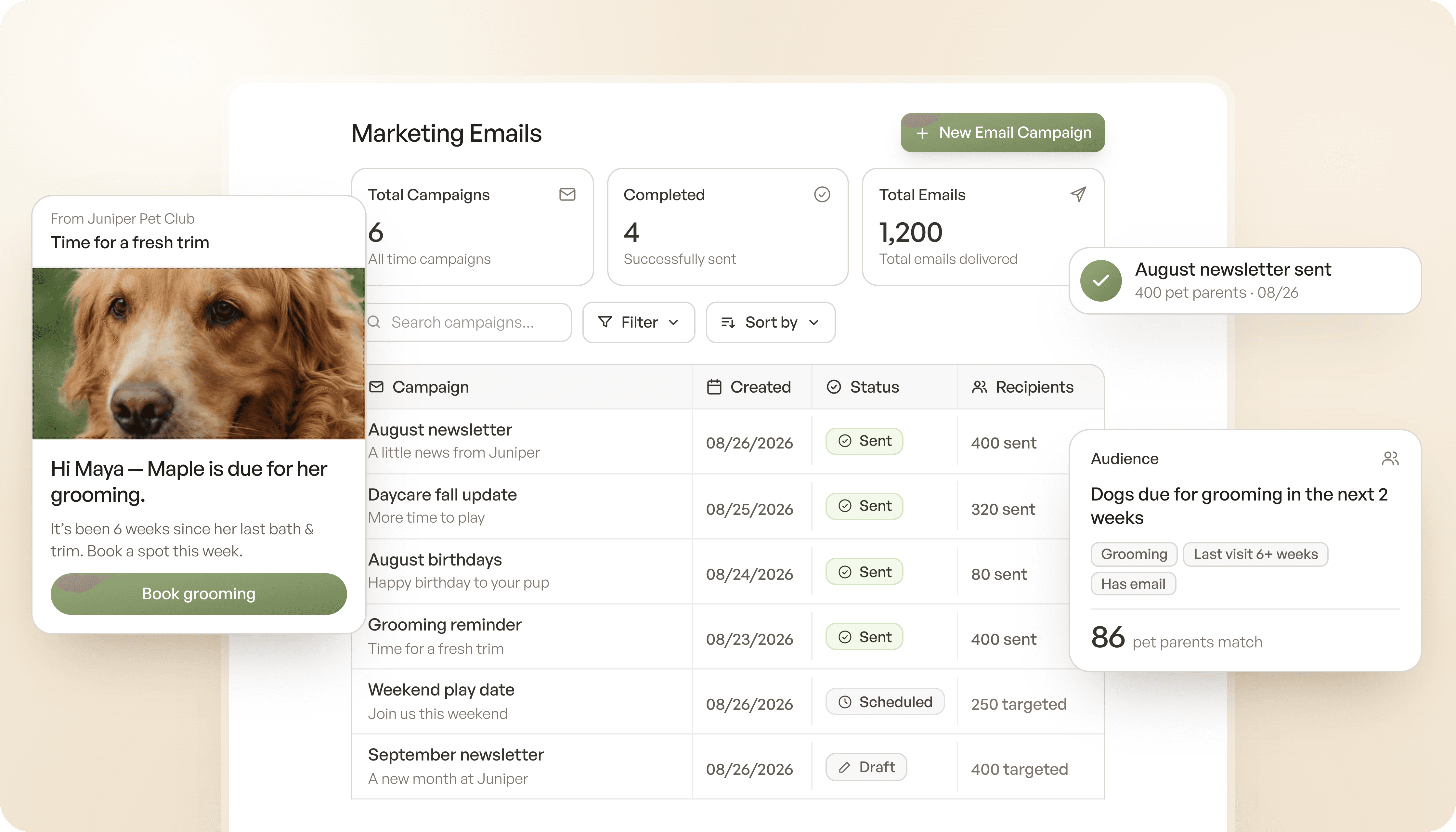 Tato marketing tools