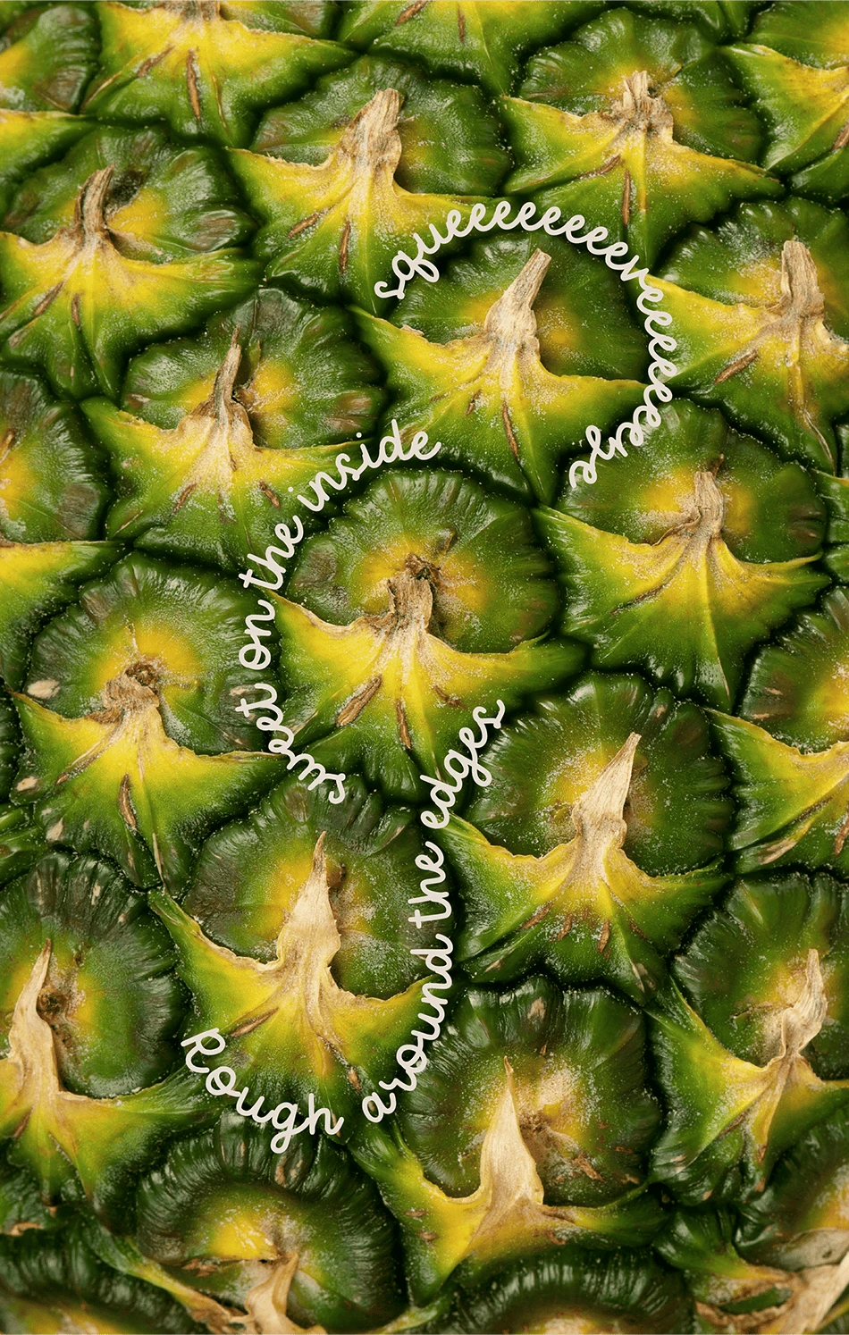 Lowcal Garden pineapple social content — 'Sweet on the Inside, Rough Around the Edges' circular typography over pineapple skin macro photography — tone of voice and creative direction by Makers' Studio
