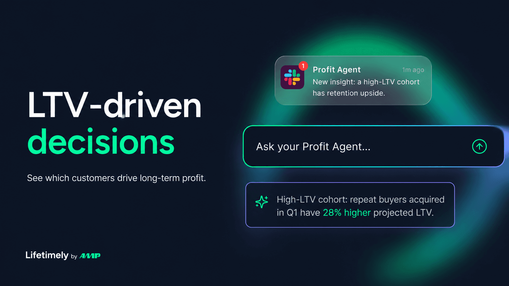 Lifetimely Profit Analytics