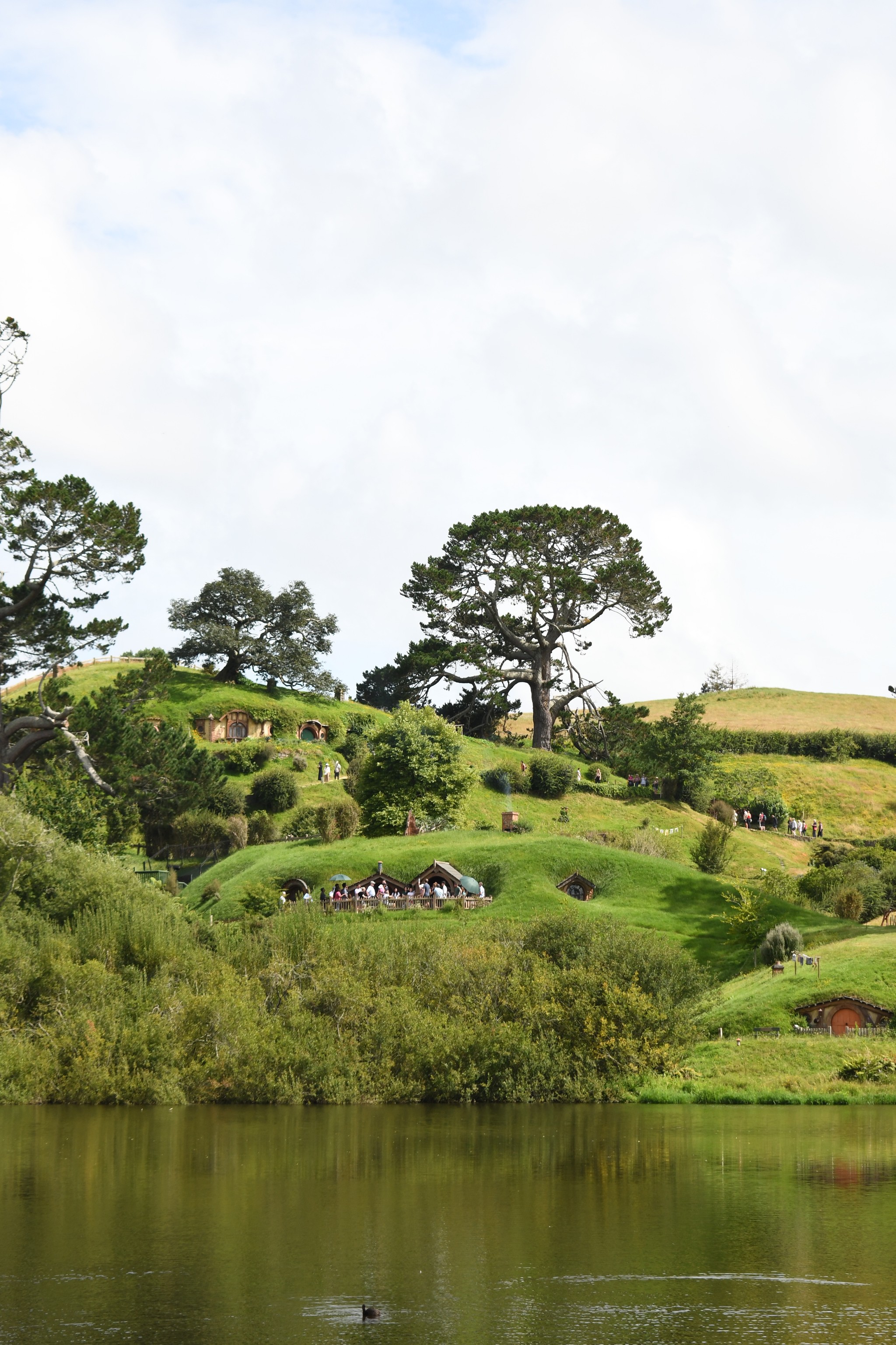 Hobbiton, NZ