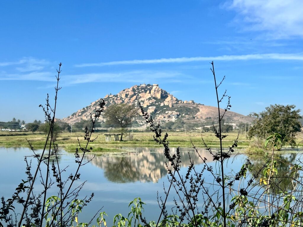 Avani betta at a distance and its reflection in the pond.