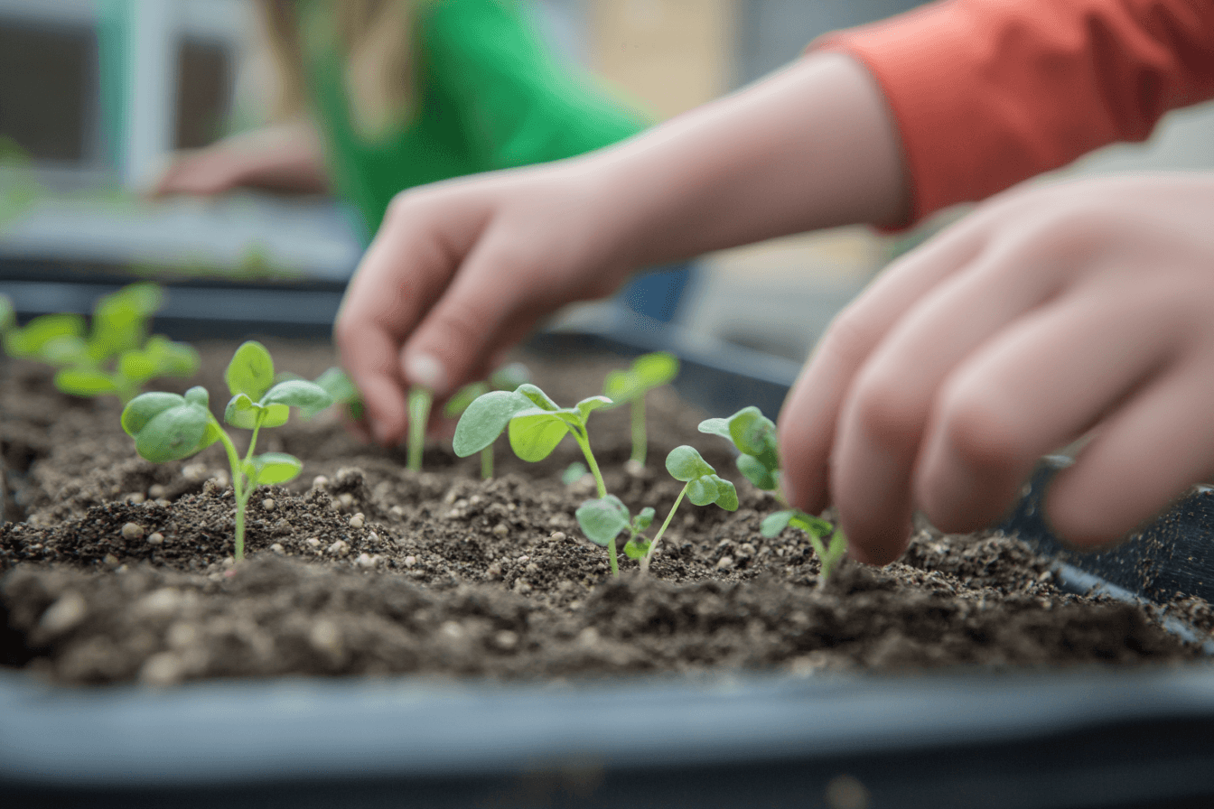 Close-up of young hands planting seedlings in rich soil, soft focus background showing a classroom or community center setting, natural lighting, earth tones with touches of green, symbolizing growth and future possibilities