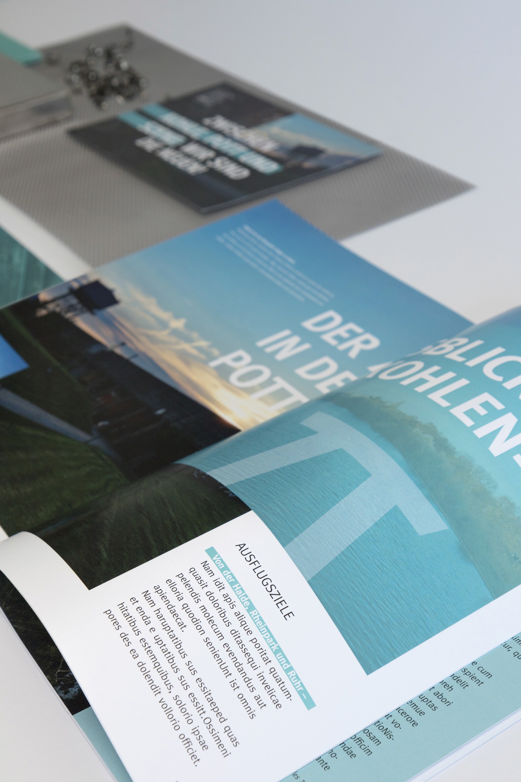 Here comes the alt text