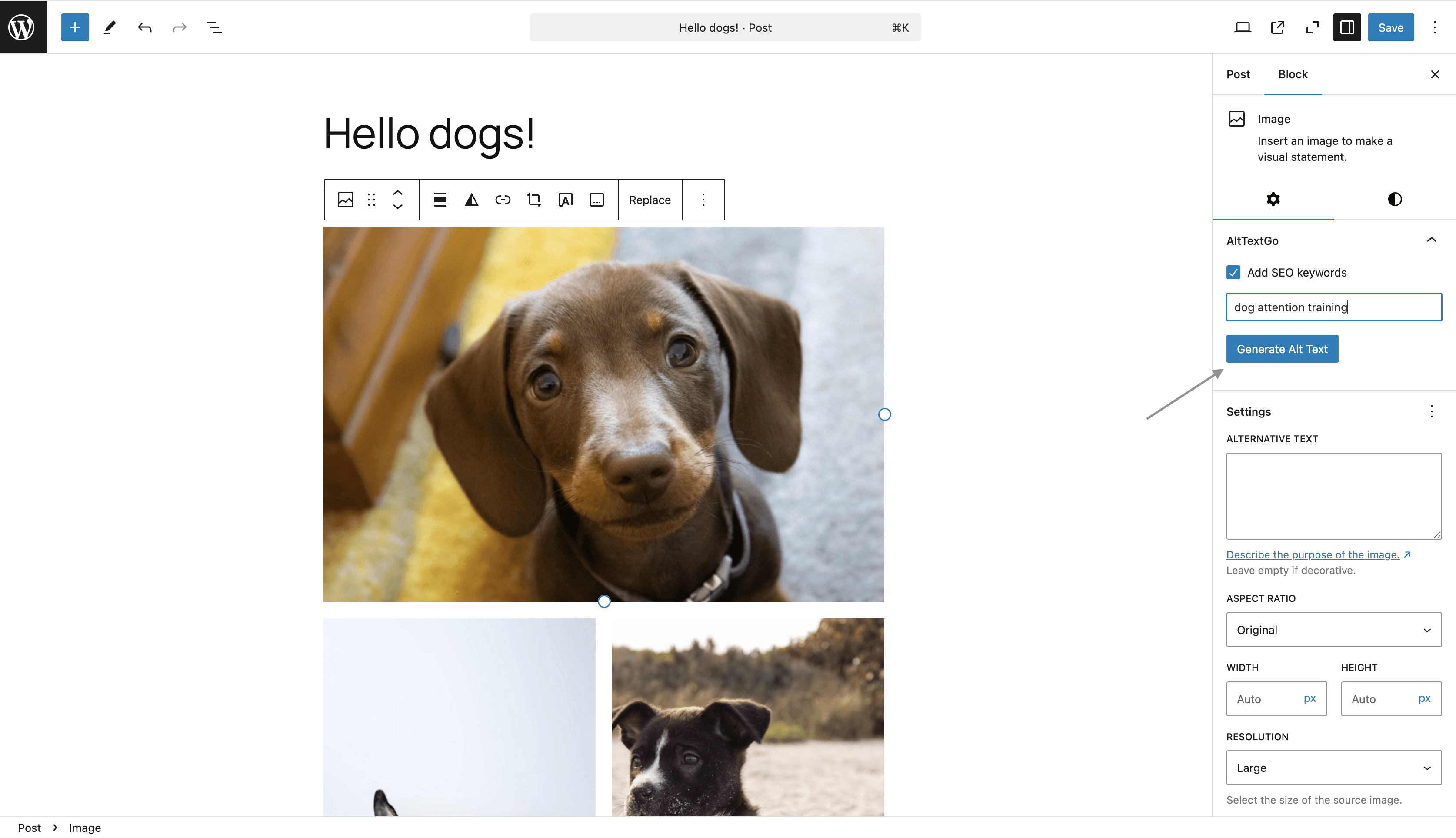 WordPress alt text geenration plugin 