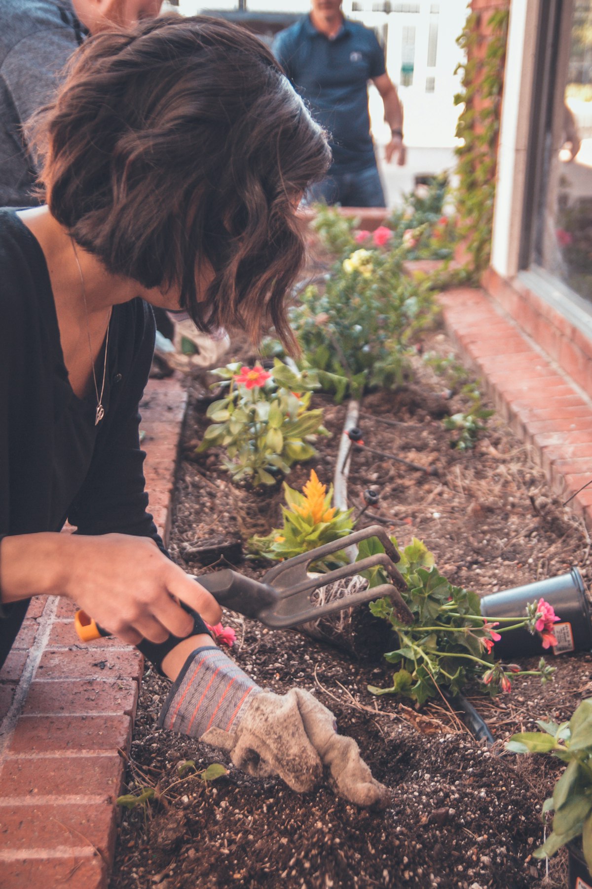 Person planting flowers