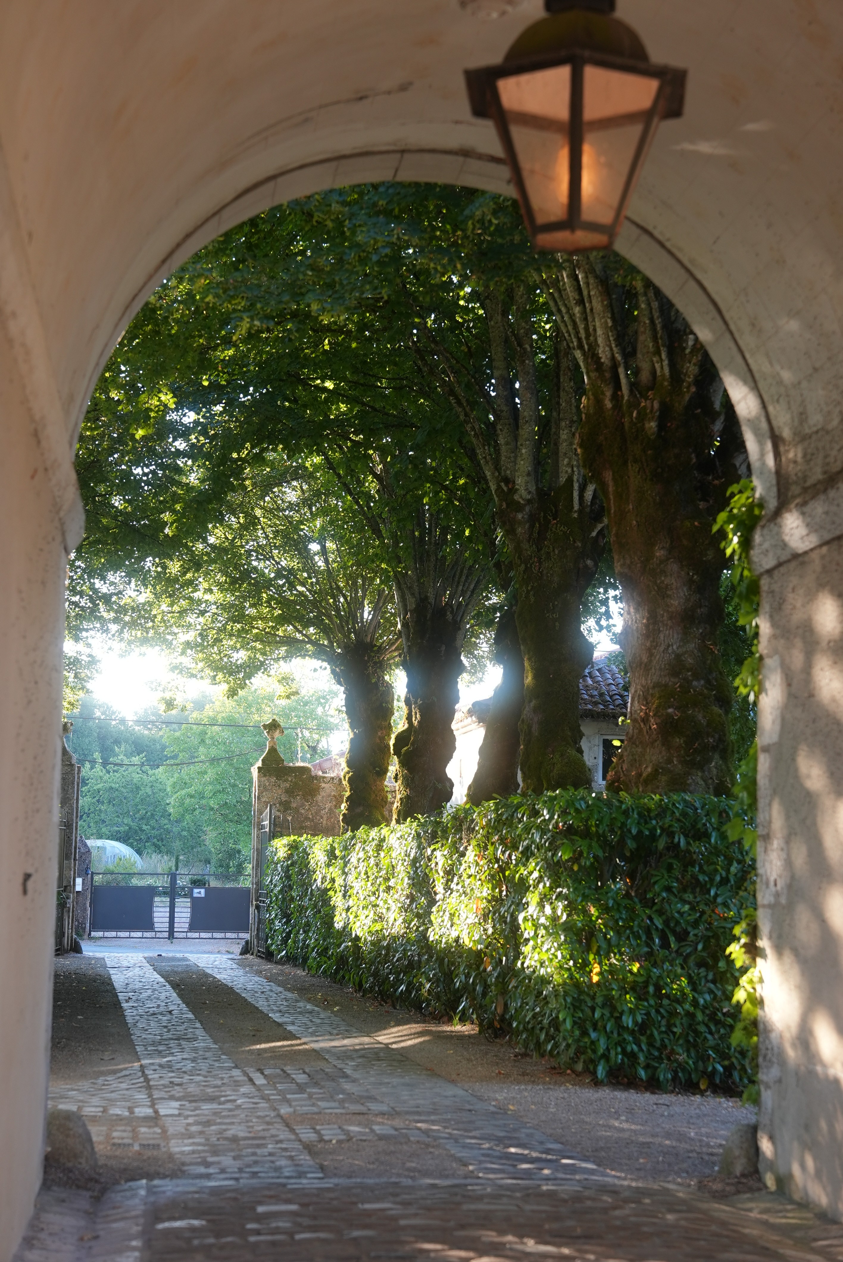 Chateau de Puy Vidal