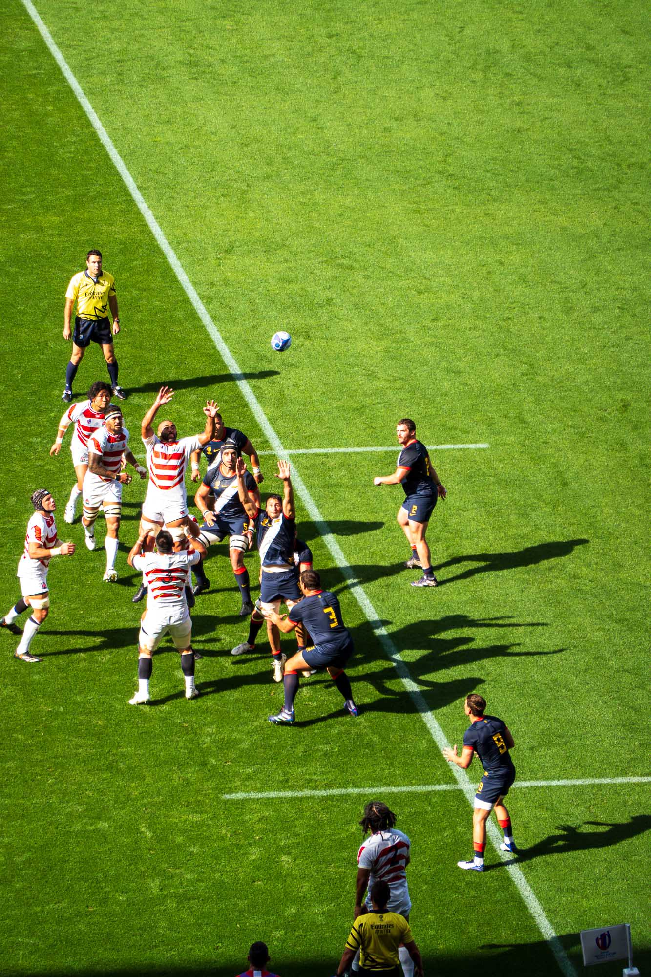 Touche : un Japonais soulevé les bras tendus vers le ballon, des Argentins en bleu nuit sautent face à lui, arbitre en jaune, ombres longues sur la pelouse