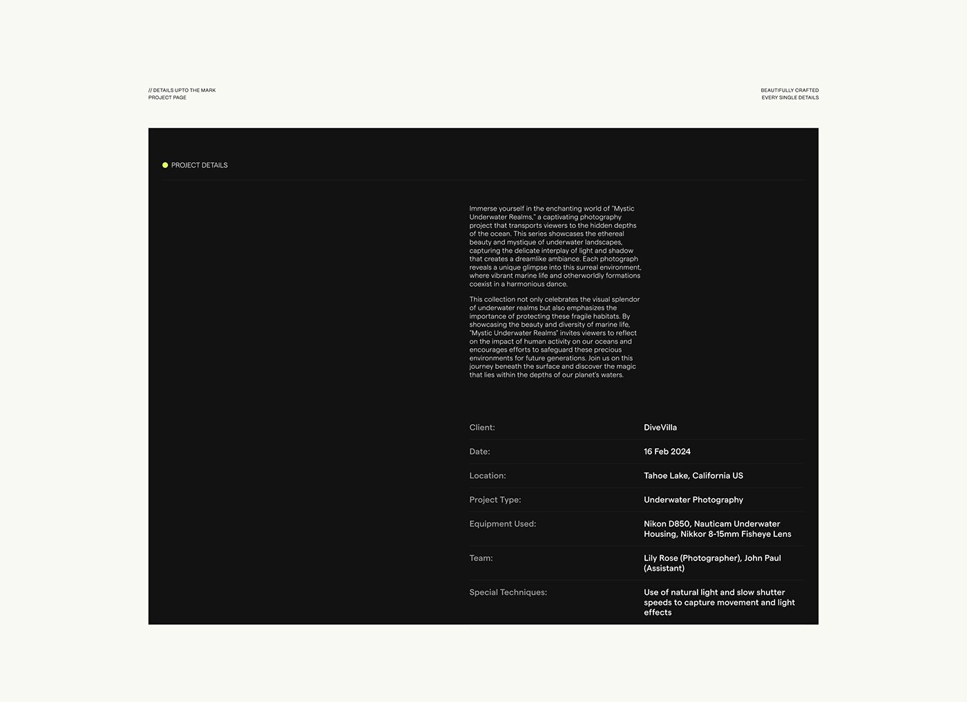 LuxeFrame - Photography Studio