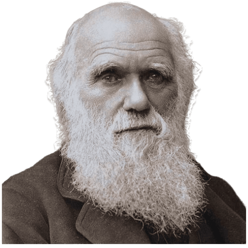 A picture of Charles Darwin