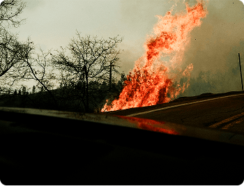 husband and wife working happily on a laptop
