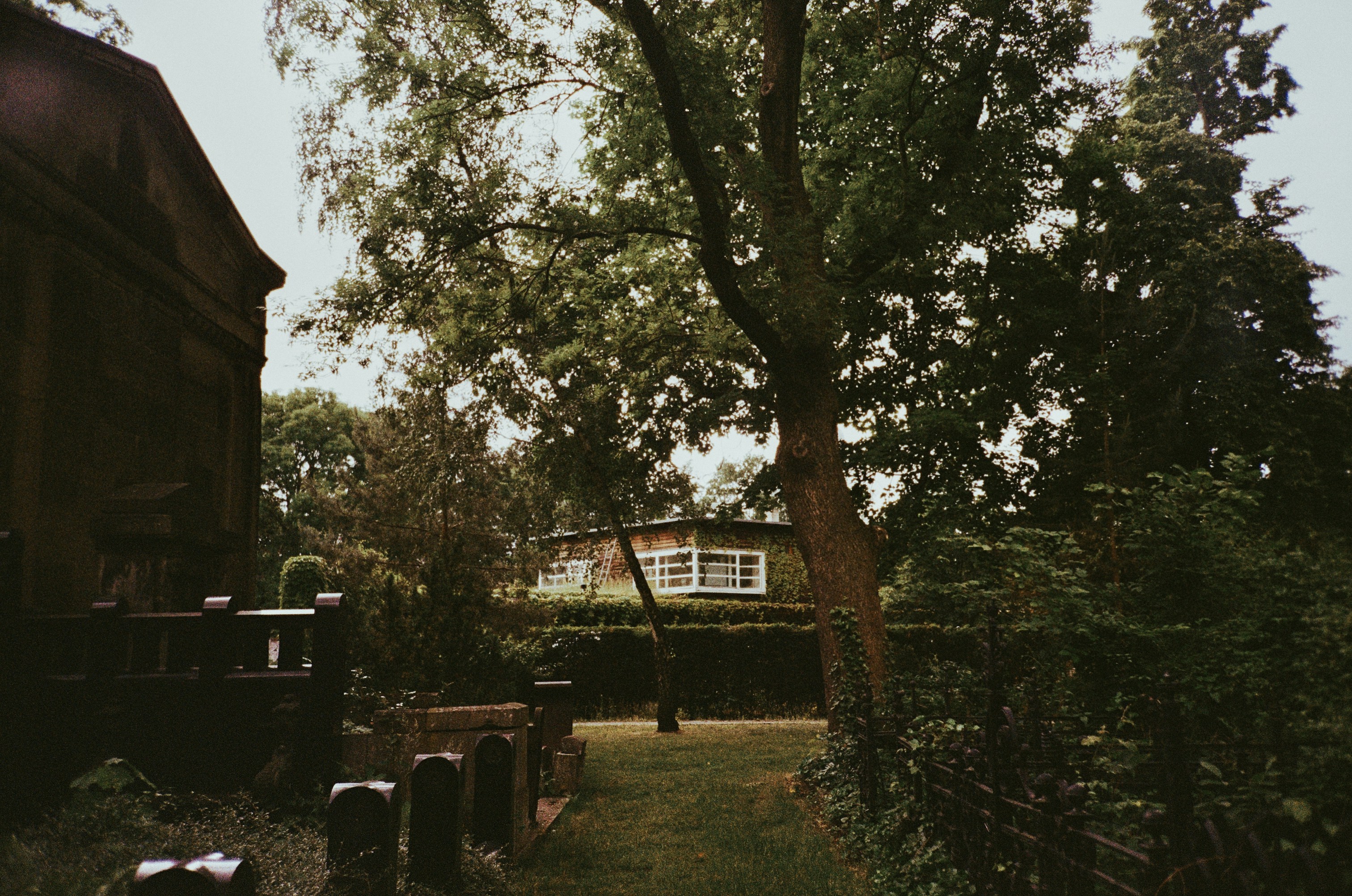 The Films and Series Everyone Will Be Talking About This Year