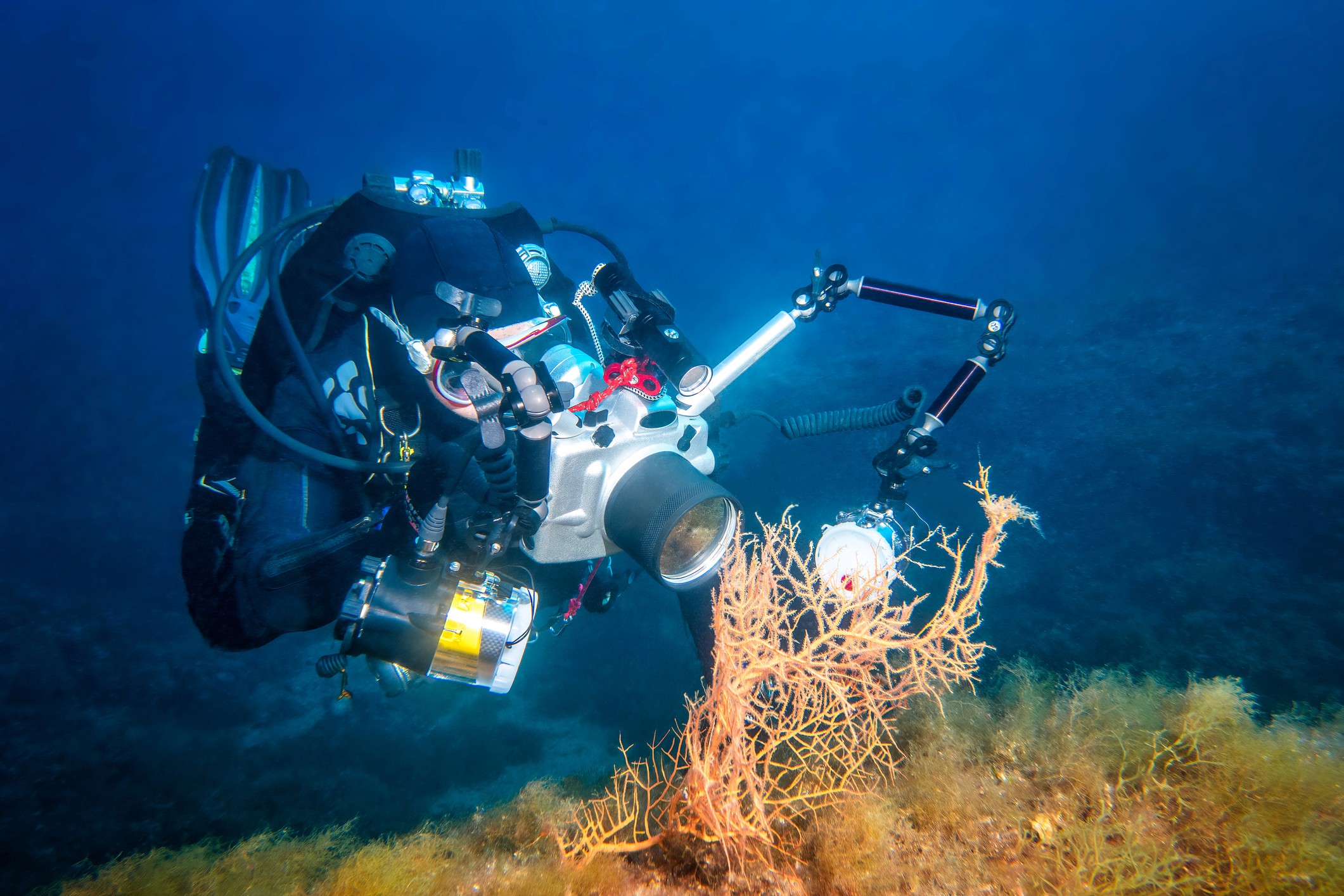 Scuba diver using underwater camera to photograph colorful coral reef