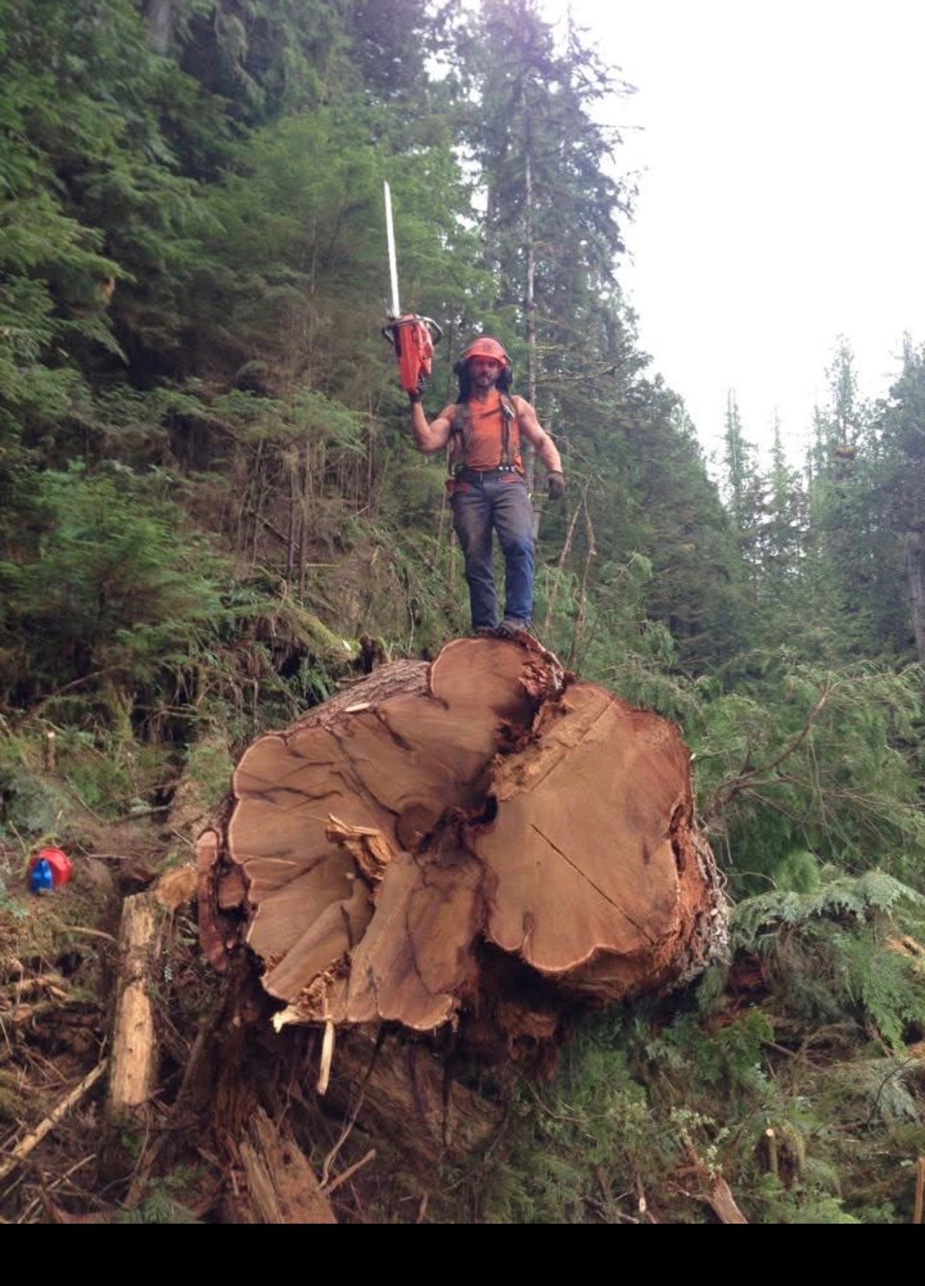 Man standing on big tree
