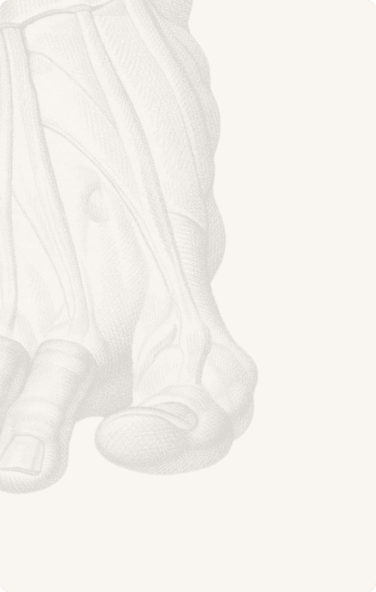 Pathologies de l'avant pied