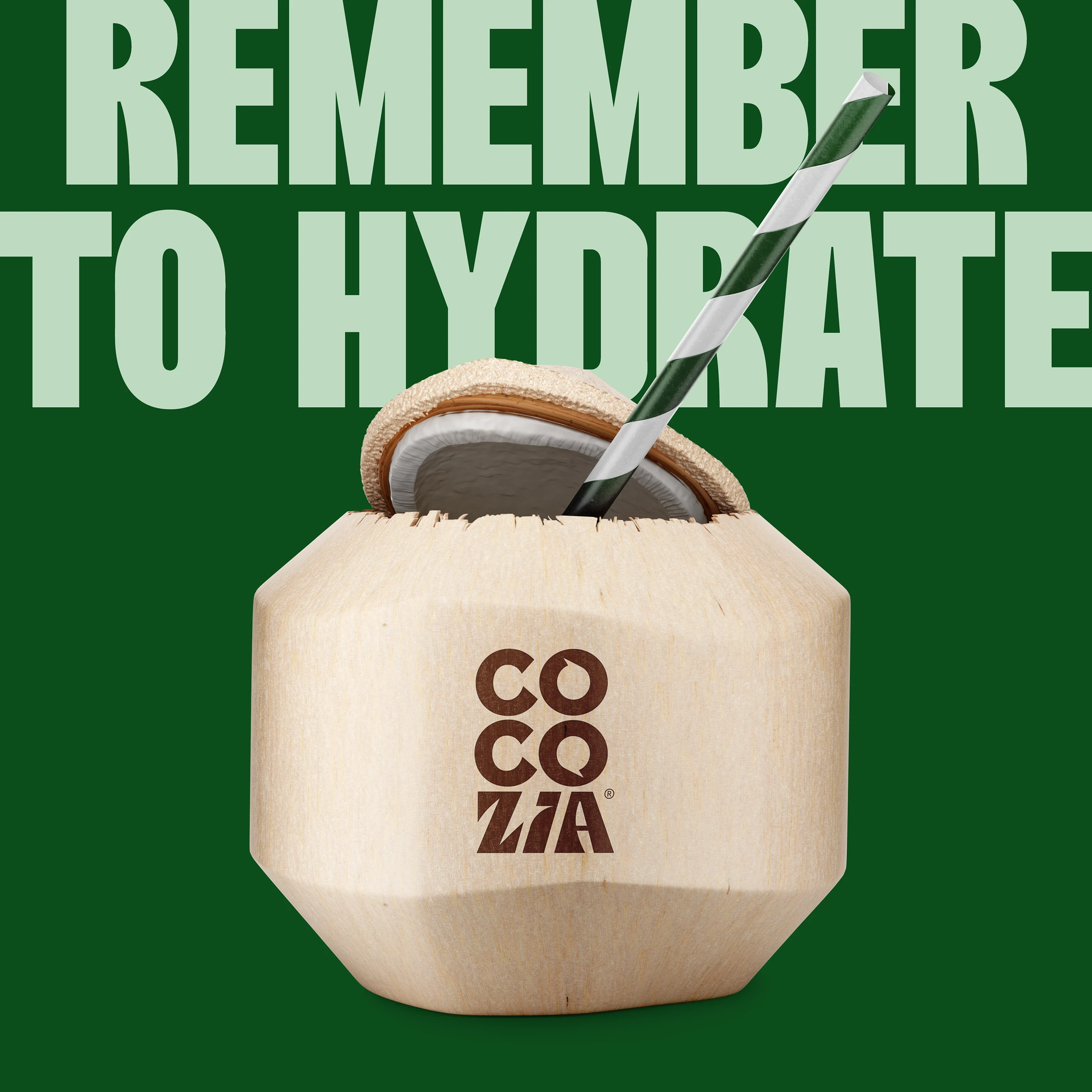 Cocozia Coconut Water with Straw