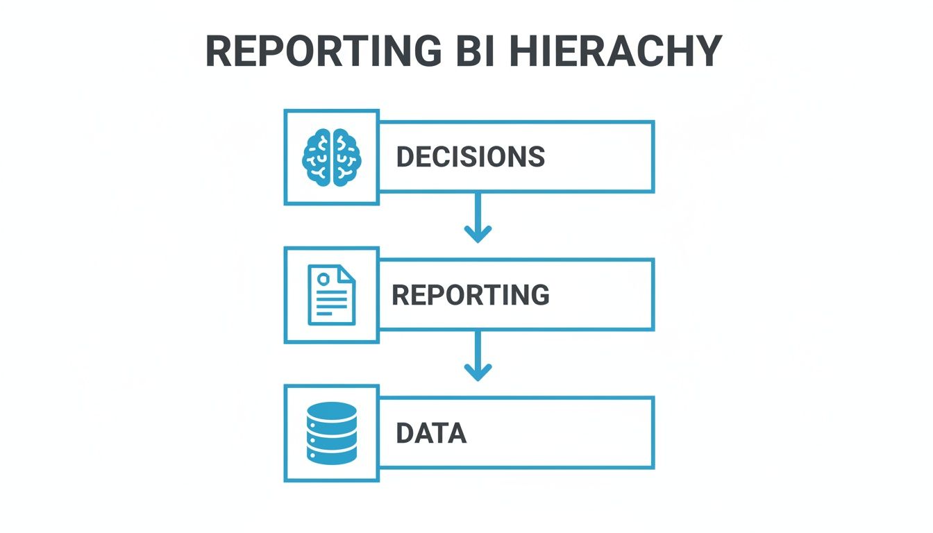 A vertical diagram outlining the Reporting BI Hierarchy: Decisions, Reporting, and Data.