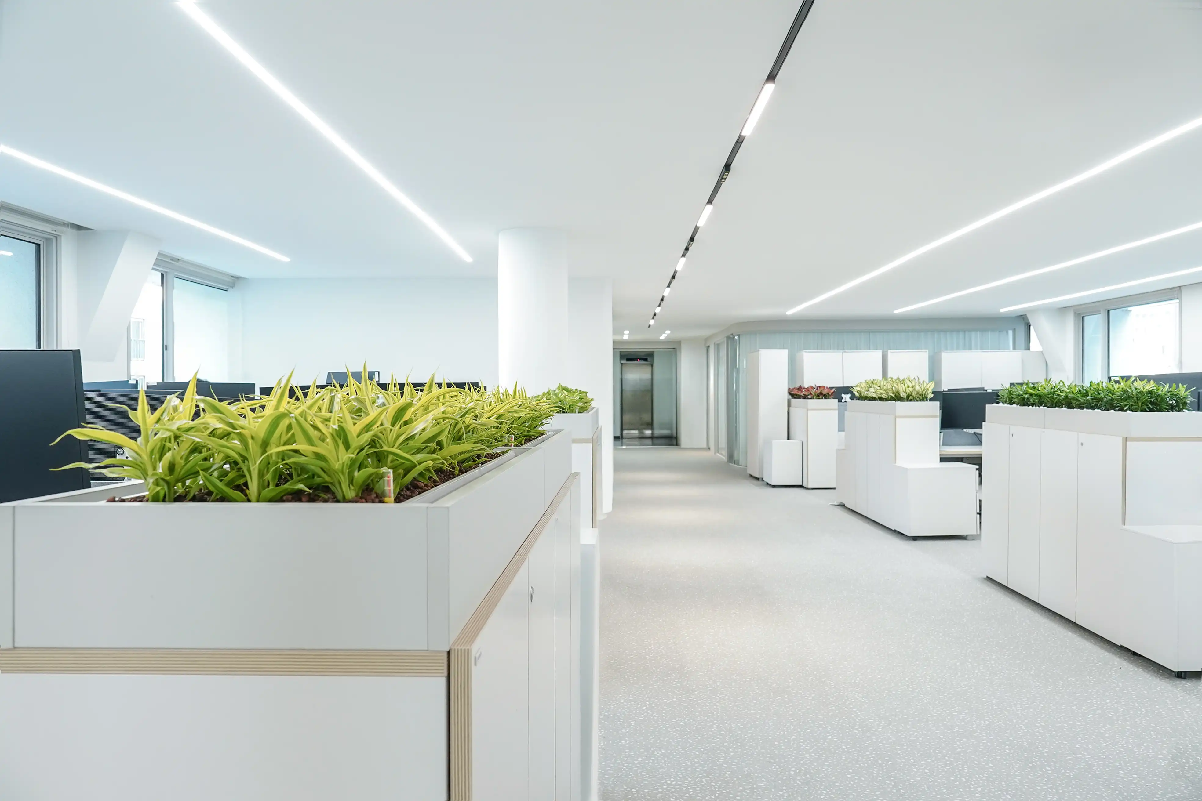 외국계 기업에 설치된 에코피플의 수경식물 실내조경