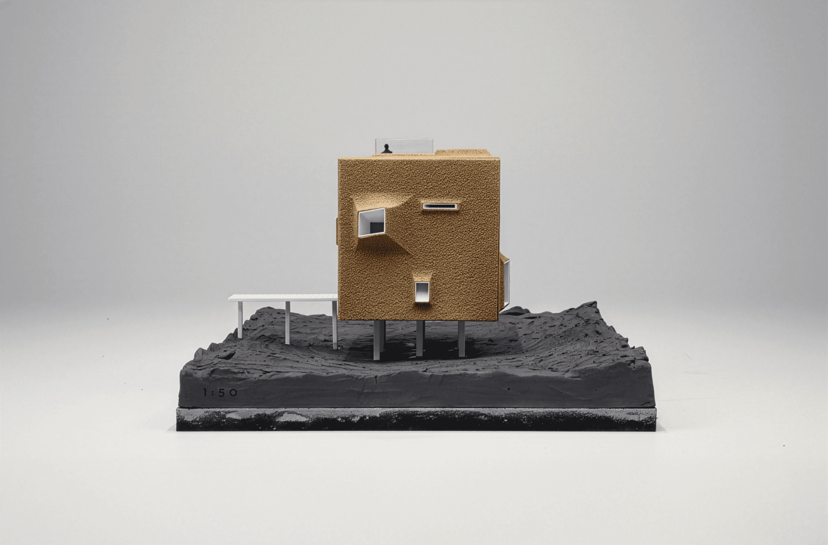 Project image 1