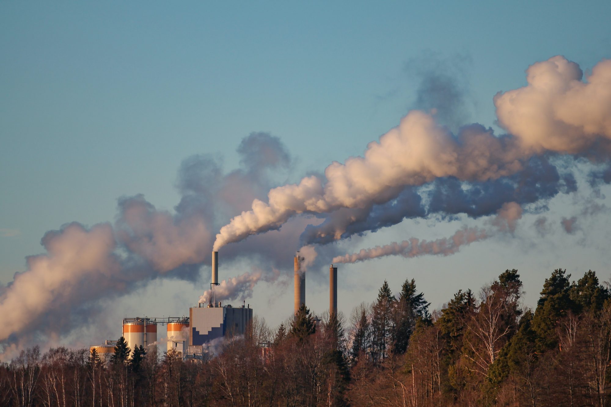 Steam billows from industrial chimneys against a clear sky, surrounded by trees in the foreground.