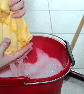 Cleaning Plan