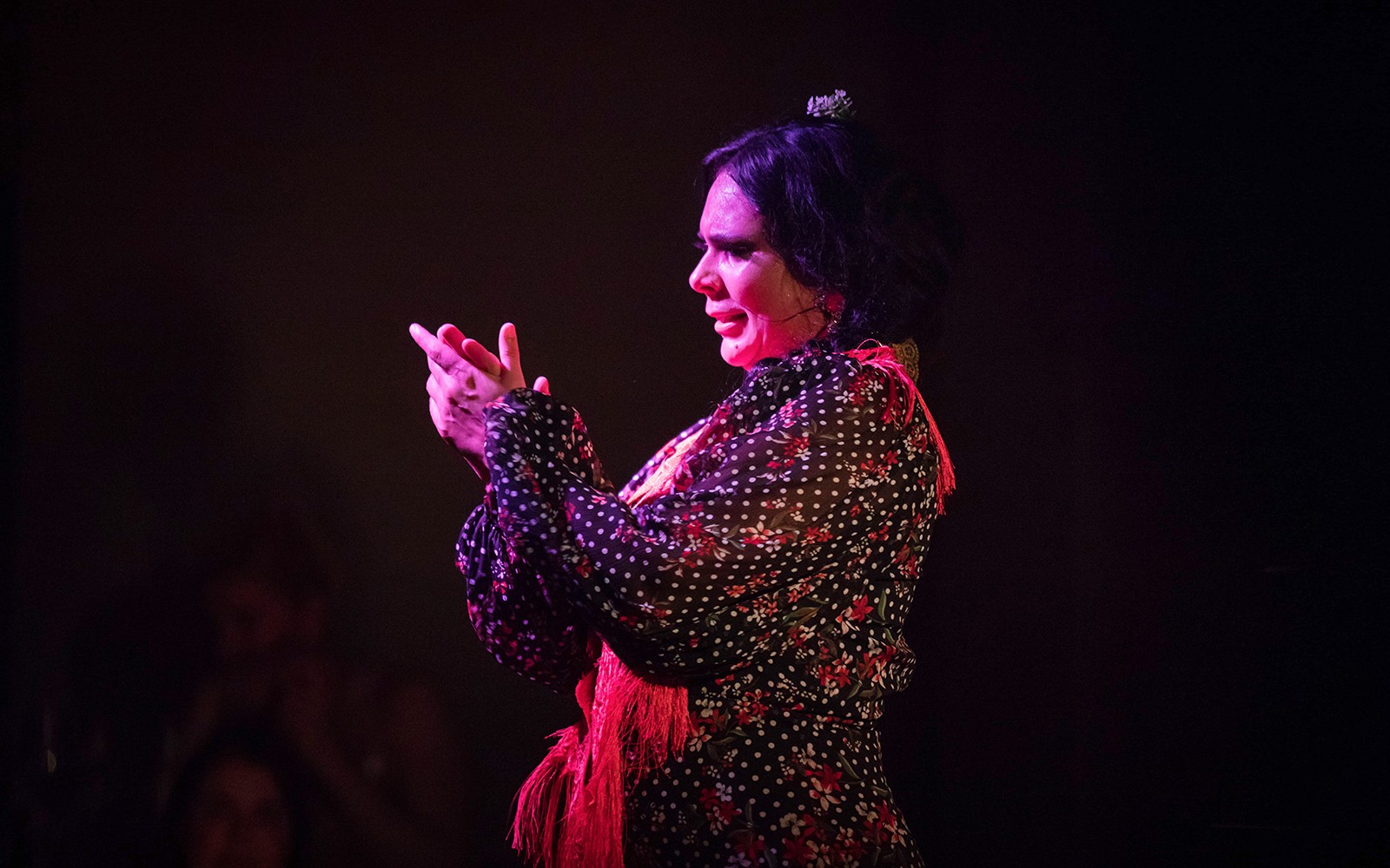 Flamenco dancer clapping during Alegría performance.