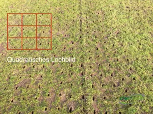 Platz 6: zu wenig Luft im Boden