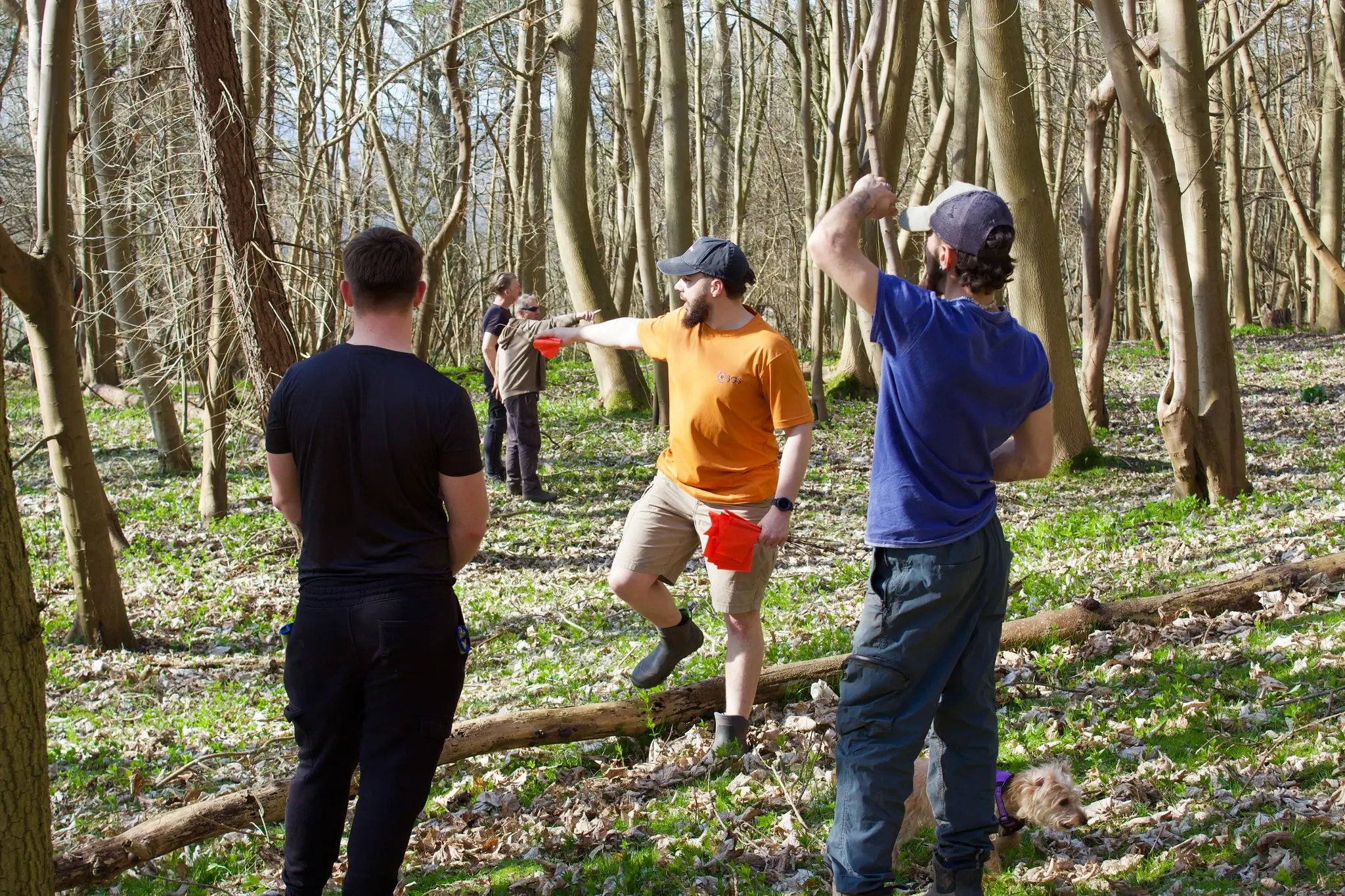 Three people are outdoors in a wooded area, with one person in an orange shirt throwing something.