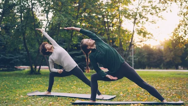 Two people stretching together in a park surrounded by trees