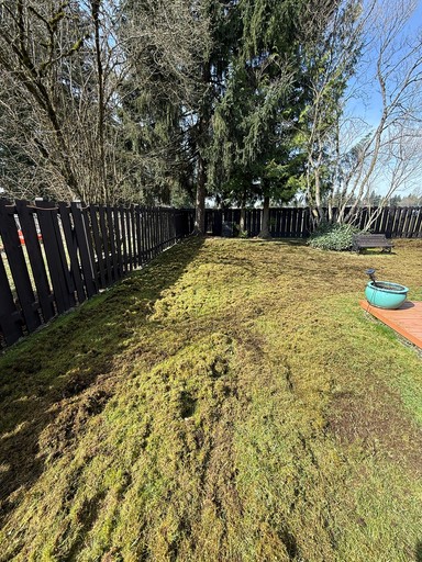 Halfway done dethatching