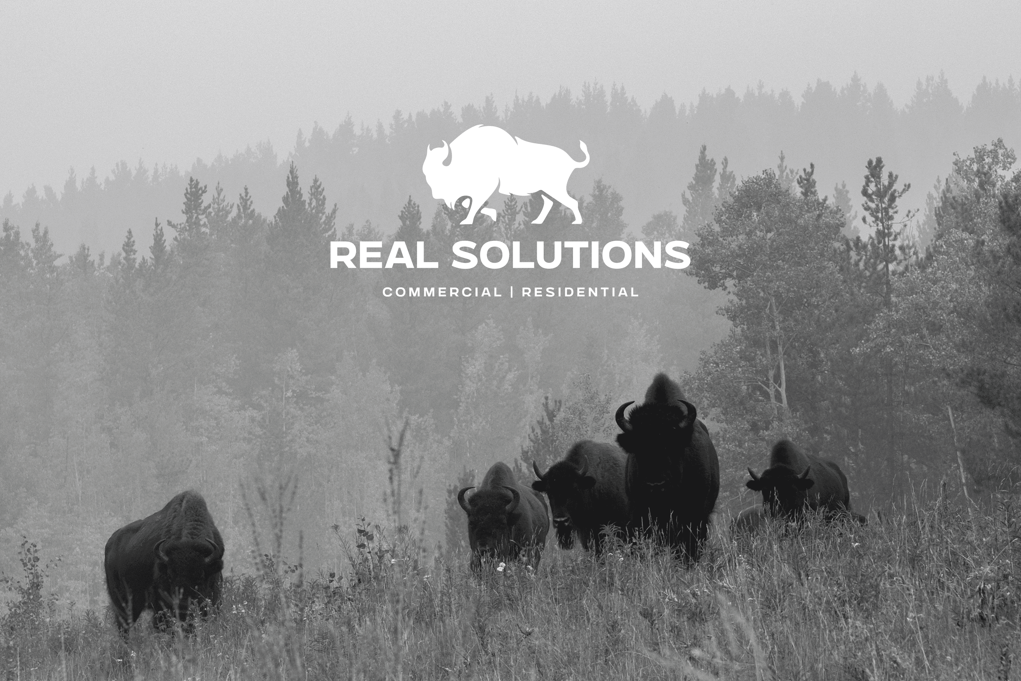 real solutions bison herd