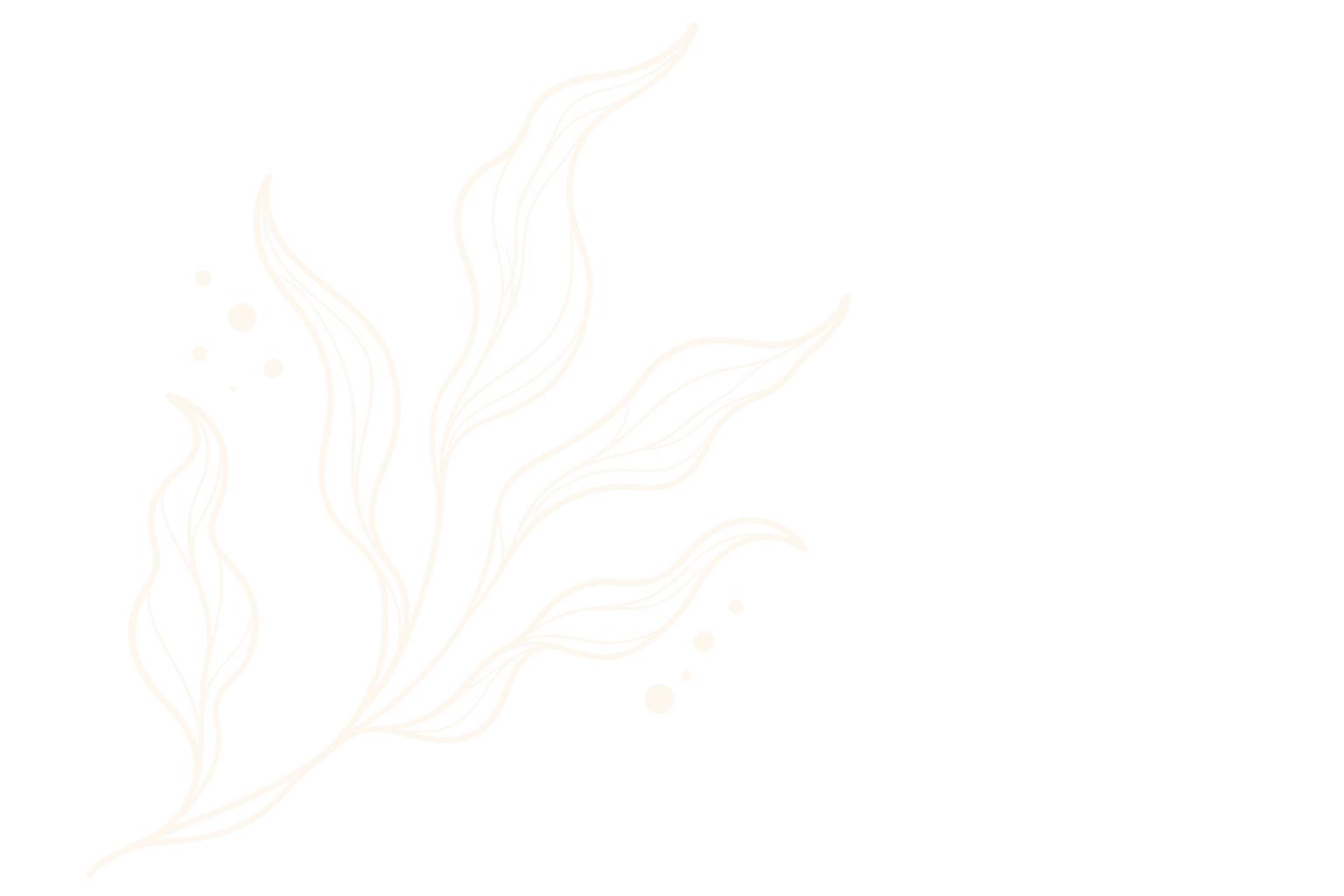 White line drawing of leaves against a white background.