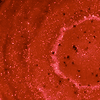 Advanced cardiovascular imaging and blood testing used to evaluate plaque, cholesterol, and inherited risk factors such as Lipoprotein(a).