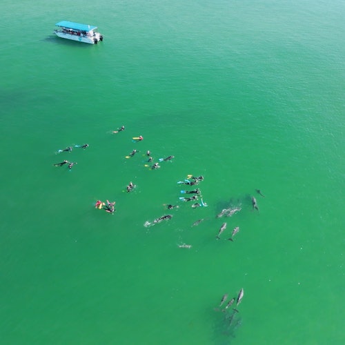 Приключение для небольшой группы - гарантированно увидите дельфинов.