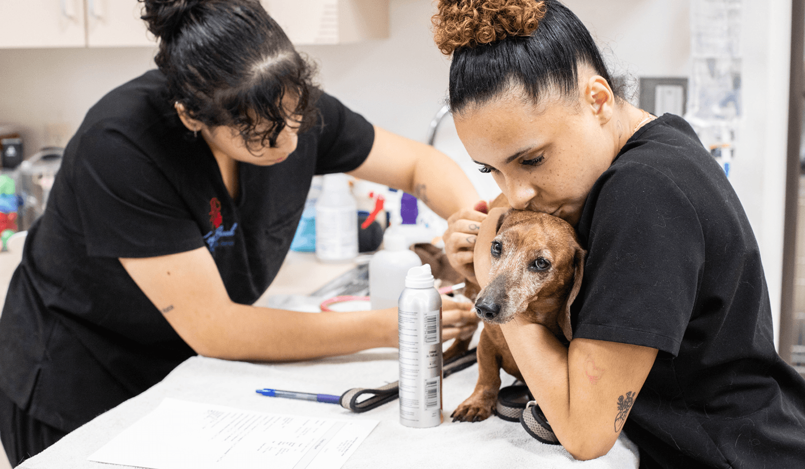 2025 veterinary industry stats in the US: what you need to know