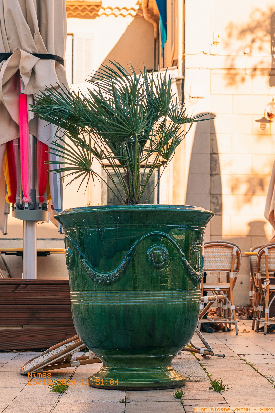 Grande vase d'Anduze avec un petit palmier, sur une terrasse ensoleillée à Nîmes.