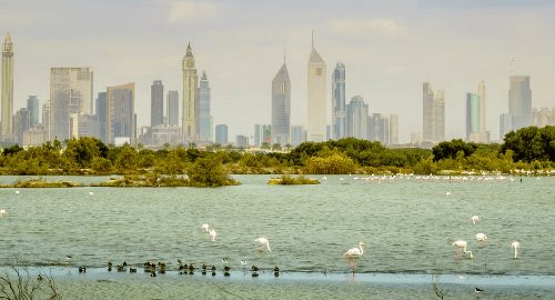 Dubai Emaar Creek Harbour