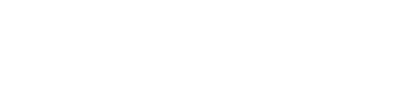 Partner logo 12