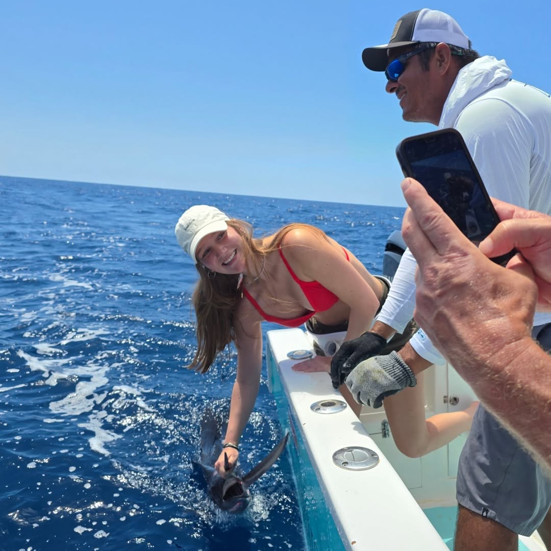 a large building with a lot of windows on top of it