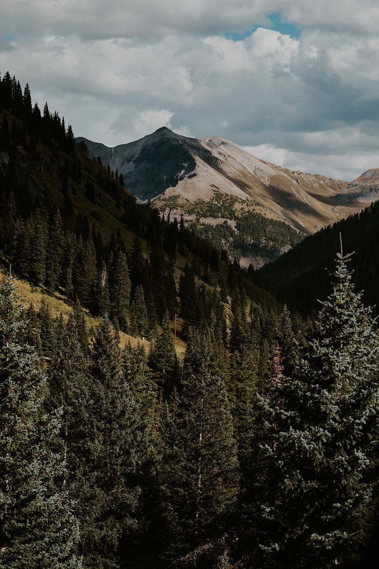 A forested mountain landscape with tall evergreen trees in the foreground and sunlit rocky peaks rising beneath a cloudy sky.