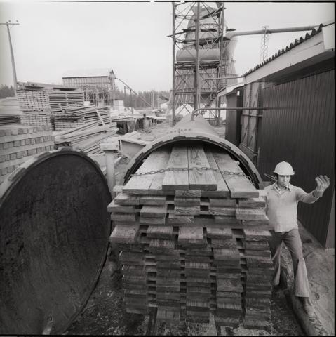 En la planta Celulosa Arauco.